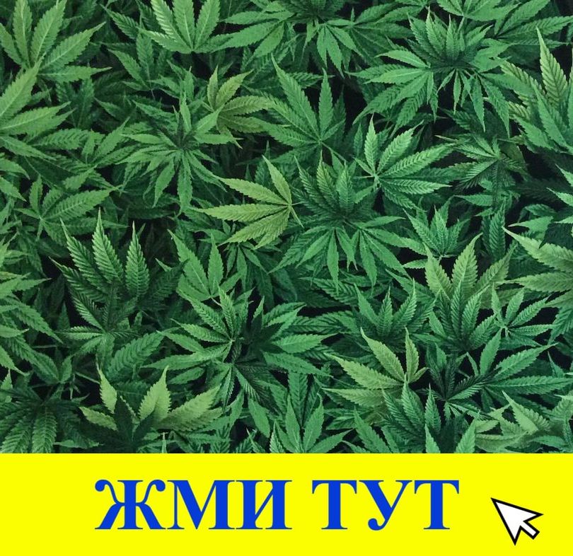 Купить наркотики в Кузнецке